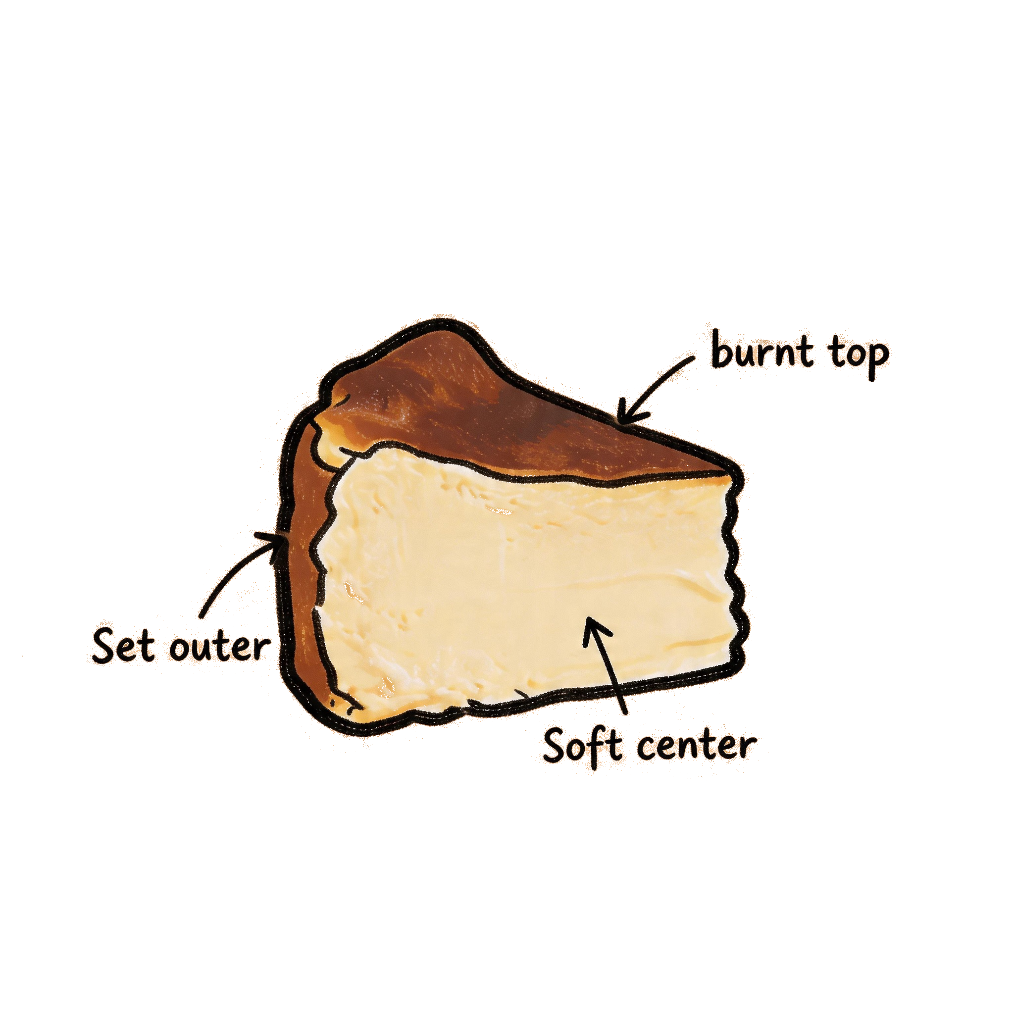 About Basque illustration